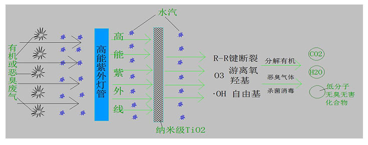 有机废气怎么处理才能达标？